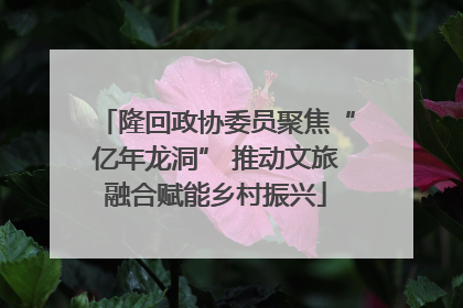 隆回政协委员聚焦“亿年龙洞” 推动文旅融合赋能乡村振兴
