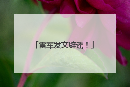 雷军发文辟谣！