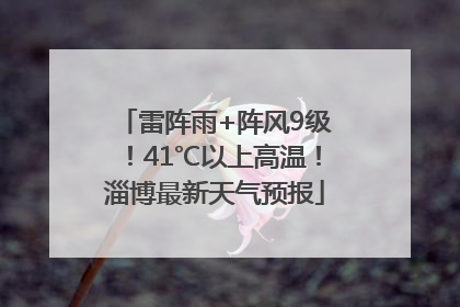 雷阵雨+阵风9级！41℃以上高温！淄博最新天气预报