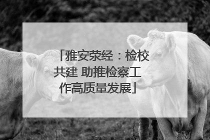 雅安荥经：检校共建 助推检察工作高质量发展