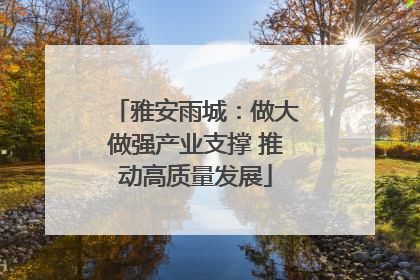雅安雨城：做大做强产业支撑 推动高质量发展