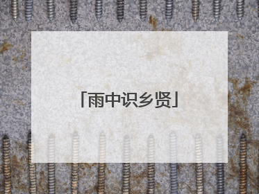 雨中识乡贤