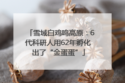 雪域白鸡鸣高原：6代科研人用62年孵化出了“金蛋蛋”