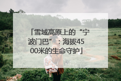 雪域高原上的“宁波门巴”：海拔4500米的生命守护