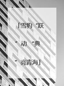 雪豹“跃”动 “典”亮青海