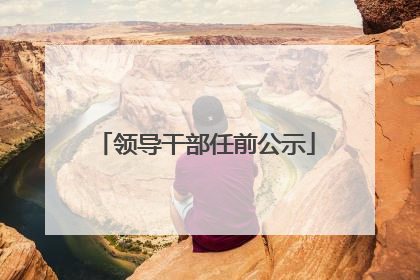 领导干部任前公示