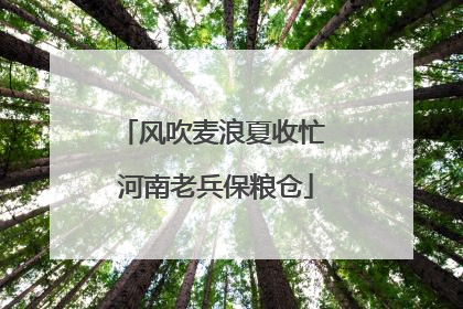 风吹麦浪夏收忙 河南老兵保粮仓