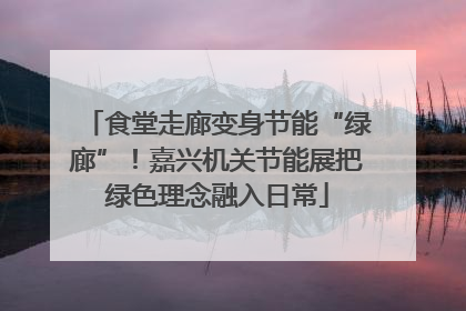 食堂走廊变身节能“绿廊”！嘉兴机关节能展把绿色理念融入日常