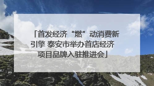 首发经济“燃”动消费新引擎 泰安市举办首店经济项目品牌入驻推进会