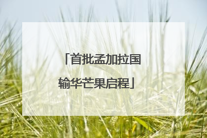 首批孟加拉国输华芒果启程
