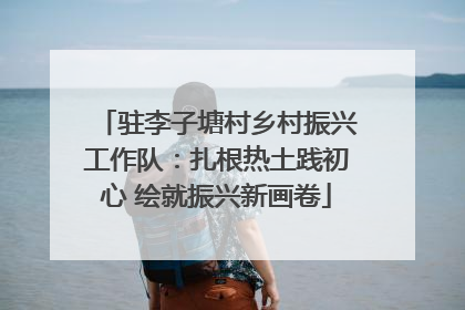 驻李子塘村乡村振兴工作队：扎根热土践初心 绘就振兴新画卷