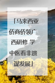 马来西亚侨商侨领广西研修 学中医看非遗谋发展