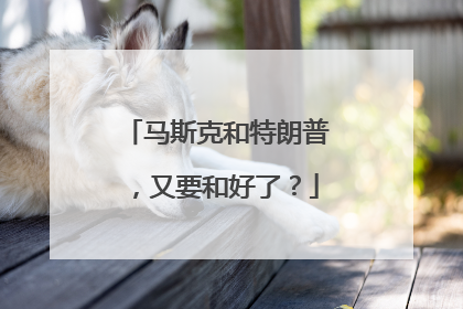 马斯克和特朗普，又要和好了？