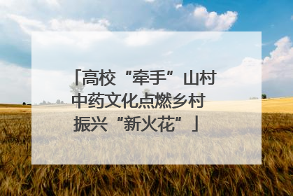 高校“牵手”山村 中药文化点燃乡村振兴“新火花”