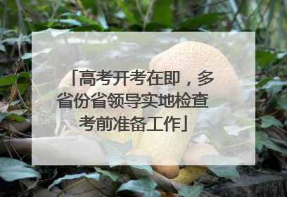 高考开考在即，多省份省领导实地检查考前准备工作
