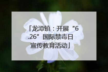 龙潭镇：开展“6.26”国际禁毒日宣传教育活动