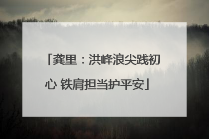 龚里：洪峰浪尖践初心 铁肩担当护平安
