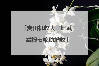 麦田机收大“比武” 减损节粮助增收