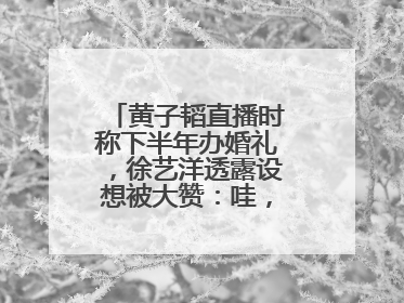 黄子韬直播时称下半年办婚礼，徐艺洋透露设想被大赞：哇，这个太好了