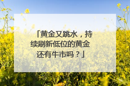 黄金又跳水，持续刷新低位的黄金还有牛市吗？