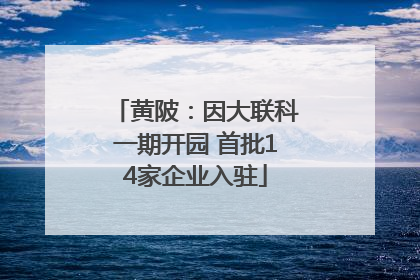 黄陂：因大联科一期开园 首批14家企业入驻