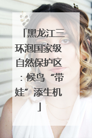 黑龙江三环泡国家级自然保护区：候鸟“带娃”添生机