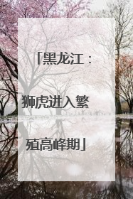 黑龙江：狮虎进入繁殖高峰期