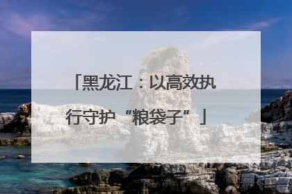 黑龙江：以高效执行守护“粮袋子”