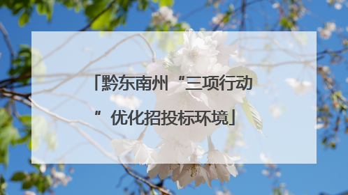 黔东南州“三项行动”优化招投标环境