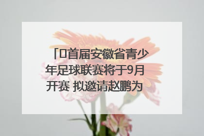 ﻿首届安徽省青少年足球联赛将于9月开赛 拟邀请赵鹏为先导赛开球