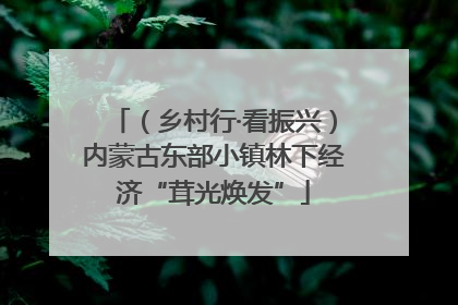 （乡村行·看振兴）内蒙古东部小镇林下经济“茸光焕发”