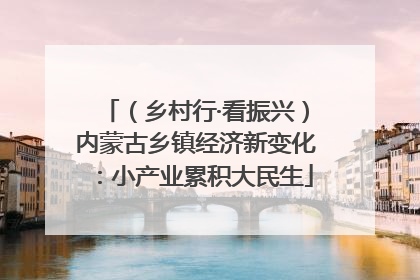 （乡村行·看振兴）内蒙古乡镇经济新变化：小产业累积大民生