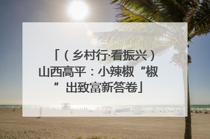（乡村行·看振兴）山西高平：小辣椒“椒”出致富新答卷