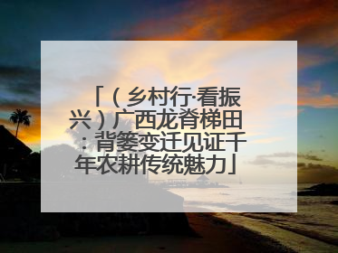 （乡村行·看振兴）广西龙脊梯田：背篓变迁见证千年农耕传统魅力