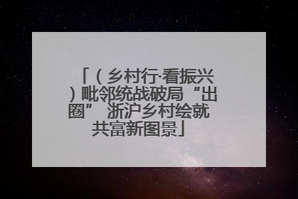 （乡村行·看振兴）毗邻统战破局“出圈” 浙沪乡村绘就共富新图景