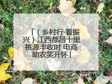 （乡村行·看振兴）江西都昌十里桃源丰收时 电商助农笑开怀
