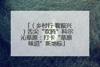 （乡村行·看振兴）舌尖“欢腾”科尔沁草原：打卡“草原味道”新地标