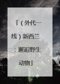 （外代一线）新西兰：邂逅野生动物