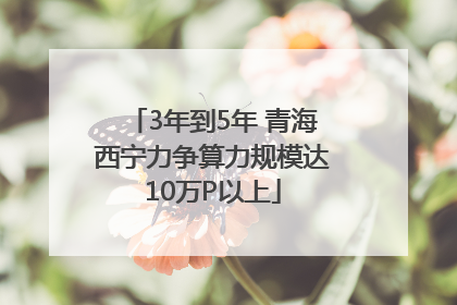 3年到5年 青海西宁力争算力规模达10万P以上