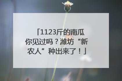 1123斤的南瓜你见过吗？潍坊“新农人”种出来了！