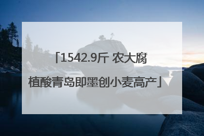 1542.9斤 农大腐植酸青岛即墨创小麦高产