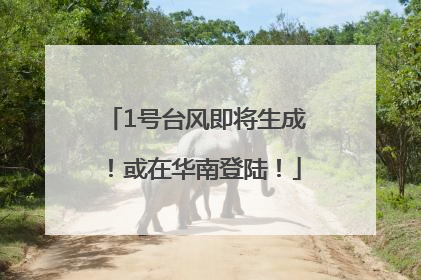 1号台风即将生成！或在华南登陆！