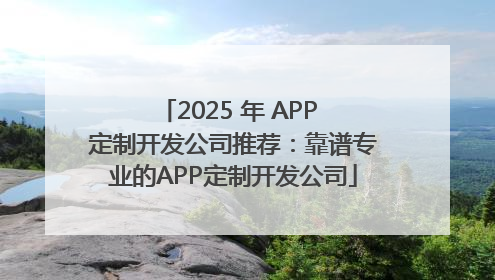2025 年 APP 定制开发公司推荐：靠谱专业的APP定制开发公司