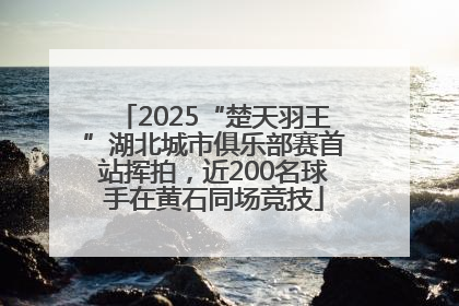 2025“楚天羽王”湖北城市俱乐部赛首站挥拍，近200名球手在黄石同场竞技