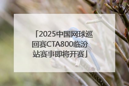 2025中国网球巡回赛CTA800临汾站赛事即将开赛