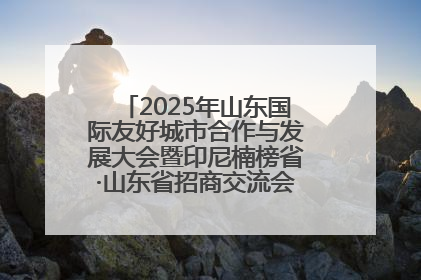 2025年山东国际友好城市合作与发展大会暨印尼楠榜省·山东省招商交流会在济南槐荫举行