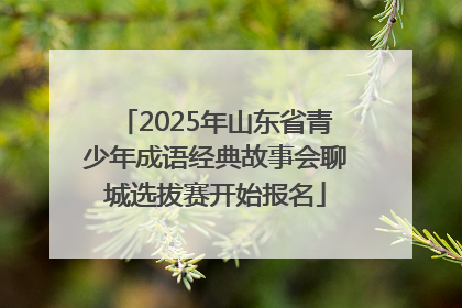 2025年山东省青少年成语经典故事会聊城选拔赛开始报名