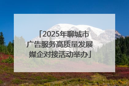 2025年聊城市广告服务高质量发展媒企对接活动举办