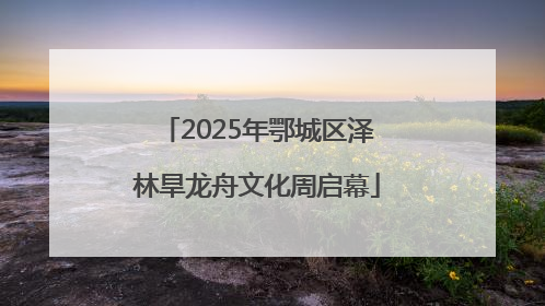 2025年鄂城区泽林旱龙舟文化周启幕