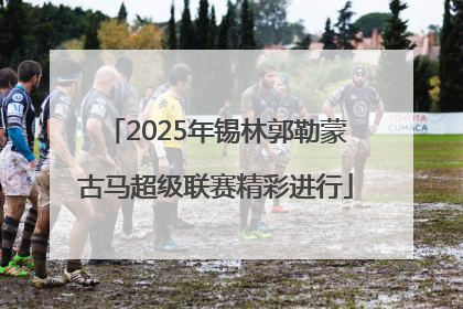2025年锡林郭勒蒙古马超级联赛精彩进行